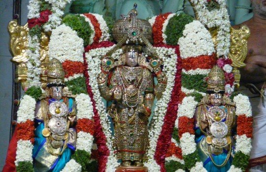 Sridevi Bhudevi Sametha Sri Malayappa Swamy On Tirumala Hills