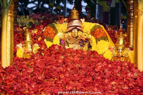 Pushpa Yagam To Sri Kalyana Venkateswara Swamy Varu
